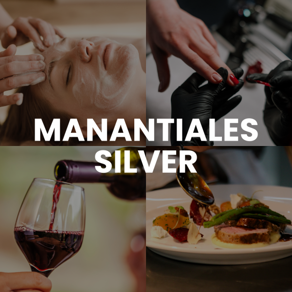 Manantiales Silver