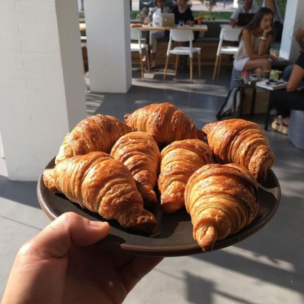 Superanfibio Manantiales