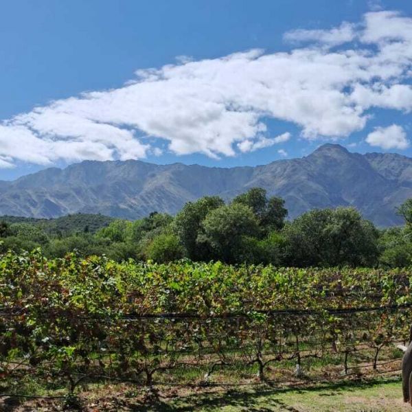 Araoz de Lamadrid - Aventura Puntana