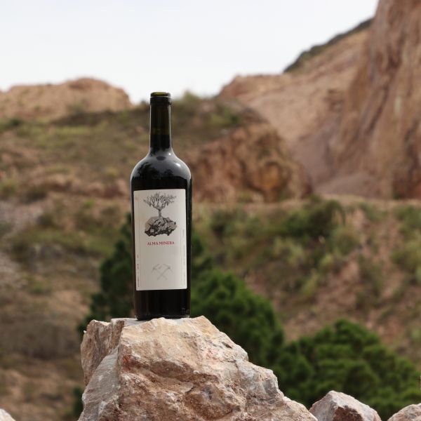 Alma Minera