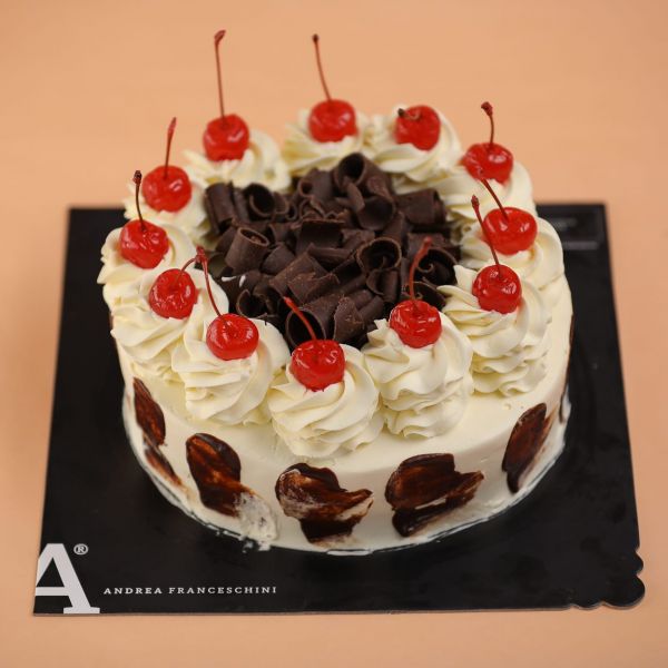 Andrea Franceschini Ricchieri