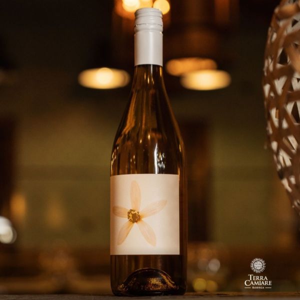 Bodega Terra Camiare