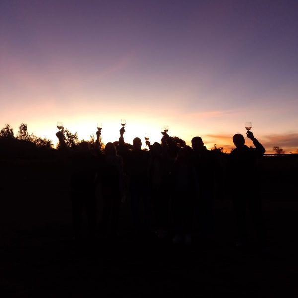 Bodega Terra Camiare