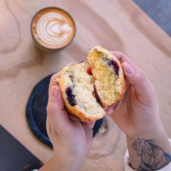 Superanfibio Manantiales