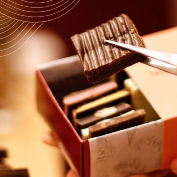 La Pinocha Chocolates Patio Olmos