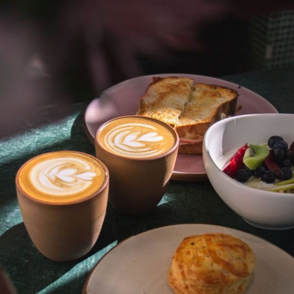 Superanfibio Manantiales